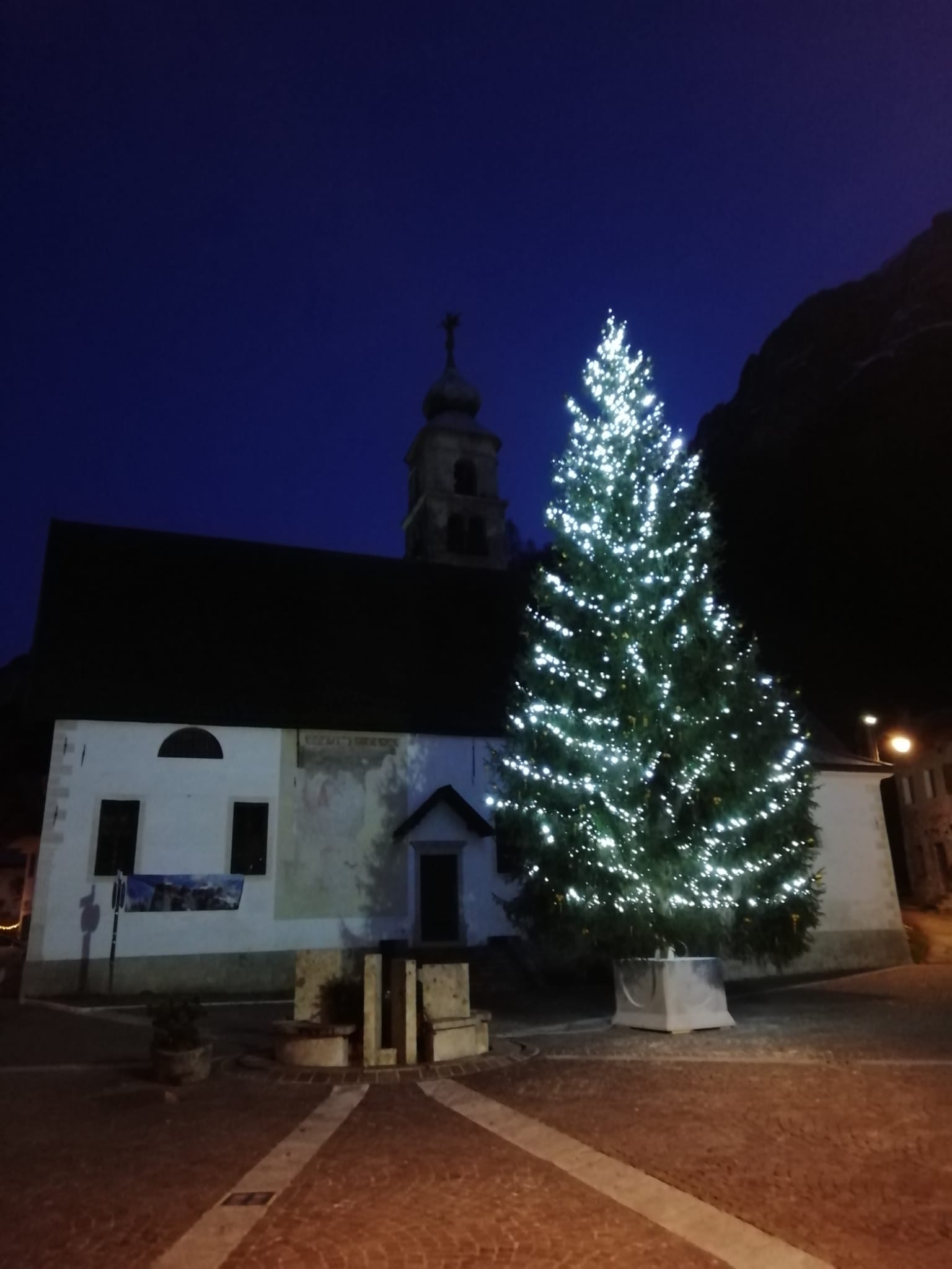 Serata sotto l'albero - piazza san cipriano